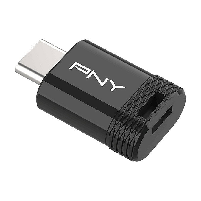PNY Elite-X Fit USB flash drive 256 GB USB Tipo C PNY Elite-X Fit USB flash drive 256 GB USB Tipo C