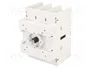 LOVATO ELECTRIC Interruptor de aislamiento GA 63A de 3 polos