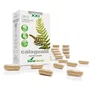 SORIA NATURAL 08-S Calaguala Fórmula XXI 30 cápsulas
