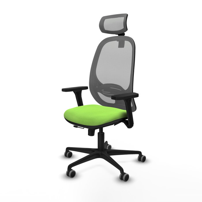 PIQUERAS Y CRESPO Silla de oficina Cilanco con mecanismo Sincro/Traslack, Pistacho y Gris PIQUERAS Y CRESPO Silla de oficina Cilanco con mecanismo Sincro/Traslack, Pistacho y Gris