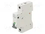 SIEMENS 5SL6132-6 Interruptor magnetotérmico 32A 1P Característica B