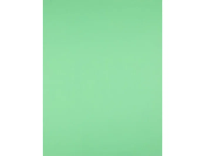 Liderpapel Cartulina Verde pistacho 50x65 cm 180 g Liderpapel Cartulina Verde pistacho 50x65 cm 180 g