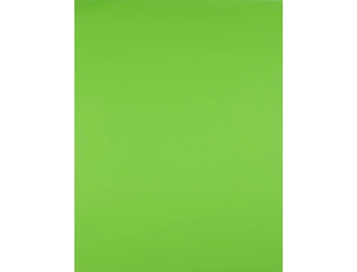 Liderpapel Cartulina Verde pistacho 50x65 cm 180 g Liderpapel Cartulina Verde pistacho 50x65 cm 180 g