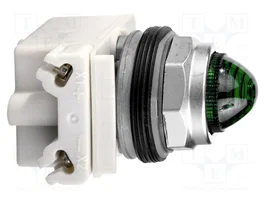 SCHNEIDER ELECTRIC Lámpara de control 9001K Verde