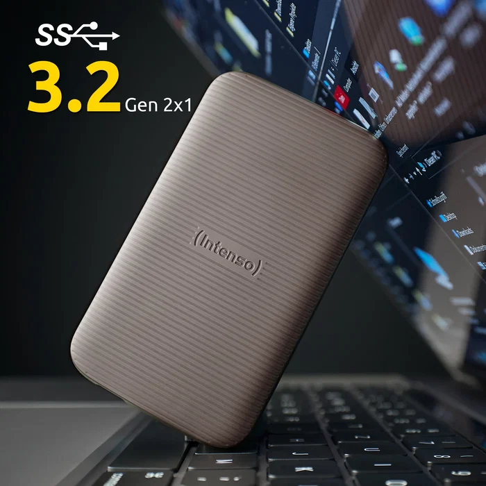 Intenso TX500 500GB Marrón
