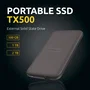 Intenso TX500 500GB Marrón