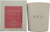 Lalique Les Compositions Parfumées Pink Paradise Vela aromática 190 g