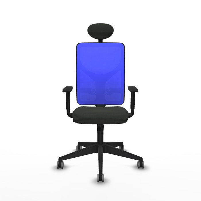 PIQUERAS Y CRESPO Silla de oficina Motilla con mecanismo Sincro, Tela Negro y Malla Azul PIQUERAS Y CRESPO Silla de oficina Motilla con mecanismo Sincro, Tela Negro y Malla Azul