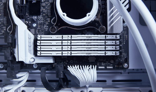 Kingston FURY Beast 32 GB DDR5 6000 MT/s CL30 DIMM Blanco EXPO Kingston FURY Beast 32 GB DDR5 6000 MT/s CL30 DIMM Blanco EXPO