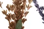 DKD Home Decor Ramas de EVA Surtidas 30x5x125 cm