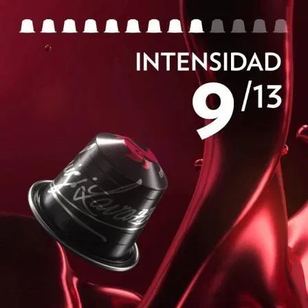 Lavazza 08683 Cápsula Espresso Maestro Clásico para Nespresso Caja de 30