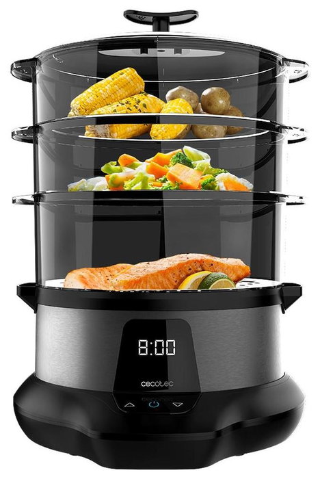 Cecotec Vapovita 3000 Pro