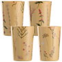 Day Juego de 4 Vasos 350 ml con Ilustraciones de Plantas, Colores Surtidos