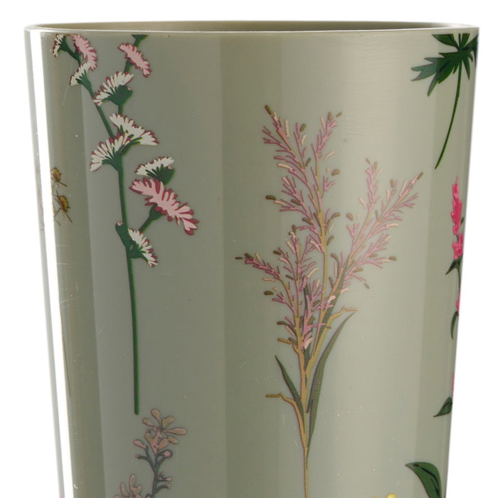 Day Juego de 4 Vasos 350 ml con Ilustraciones de Plantas, Colores Surtidos