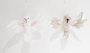 DKD Home Decor Decoración Colgante de Espuma Pájaro Surtido de 2, Blanco y Beige