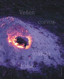 VEÑEN CORVOS VOANDO BAIXO, Tono Arias - ENSIOLA EDITORIAL