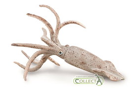 Collecta Belemnite L 88904 Figura Realista de Criatura Marina Prehistórica +3 Años