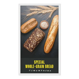 Sharp EP-C251 ePaper Display 25.3 Zoll / 64.3 cm Pantalla de Tinta Electrónica