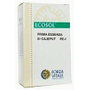 FORZA VITALE Primera Esencia Cajeput Complex 10ml
