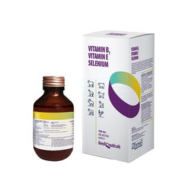 Vitamin B1 Vitamin E Selenium Solucion Oral 100 mL
