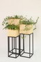 DKD Home Decor Macetero Scandi Natural Negro Metal Bambú 28 x 80 x 28 cm Set de 3