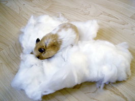 Kerbl Algodón Comestible para Hamster Bolsa 30g Fibras Viscosa