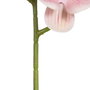 Flor Orquídea Rosa Goma Decoración 96 cm (Set de 6)
