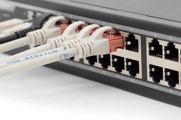 Digitus 24-Port Gigabit Ethernet Switch 10/100/1000Base-T con Kit de Montaje para Rack