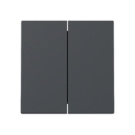 GIRA 329528 Wippe 2f System 55 Placa Frontal Antracita Mate