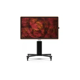 Ctouch canvas 75 pulgadas regal orange inglass optically bonded touch display