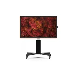 Ctouch Canvas 75" Touch Display Optically Bonded, Pantalla Interactiva Táctil 4K UHD (3840x2160), Montaje VESA, Color Naranja, Ref. 11072575 (Demo)