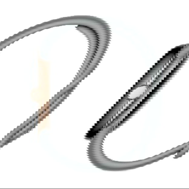 Google Pixel Watch 41mm 4G Champagne Gold Acero Inoxidable Correa Hazel