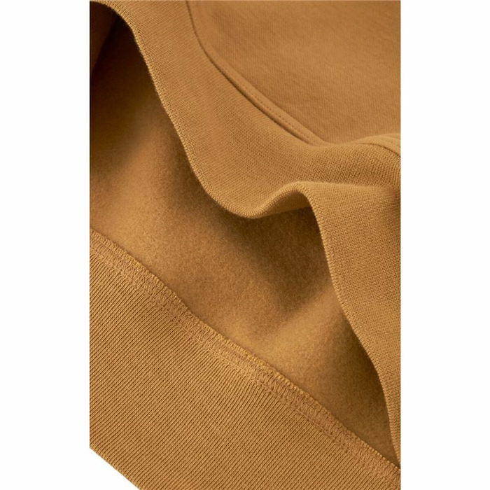 Sudadera con Capucha Hombre Champion 250 ml