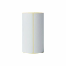 Brother Caja de 20 rollos de etiquetas térmicas blancas 102mm x 152mm