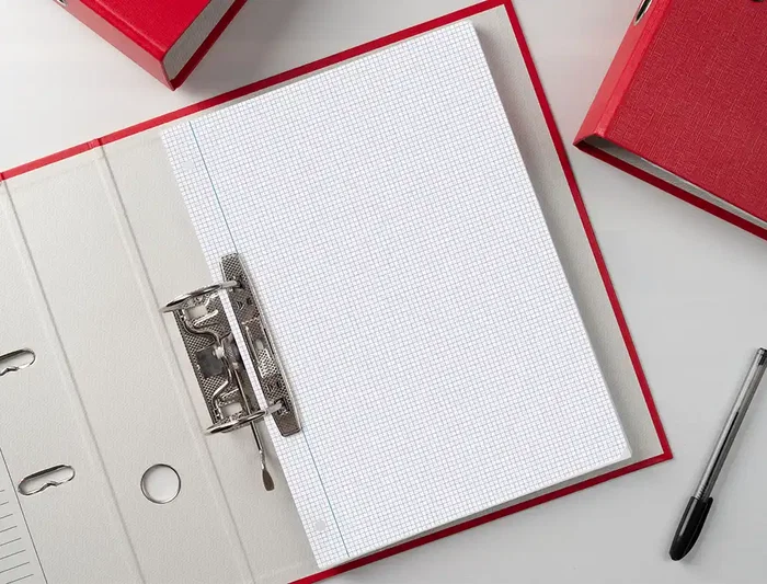 Liderpapel Recambio Folios DIN A4, 100 Hojas, 75 g/m², Cuadrícula 3 mm, con Márgenes y 4 Taladros para Archivador