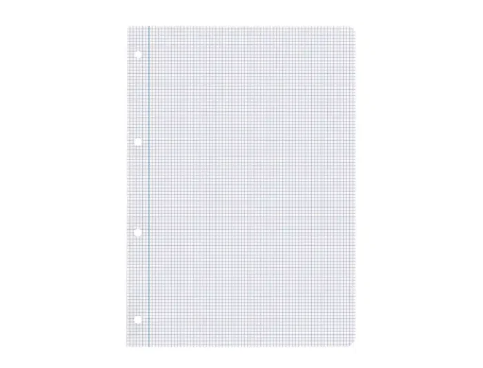 Liderpapel Recambio Folios DIN A4, 100 Hojas, 75 g/m², Cuadrícula 3 mm, con Márgenes y 4 Taladros para Archivador