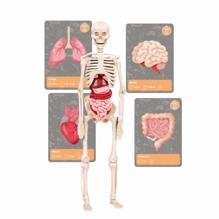 Clementoni 8005125527366 La historia de la vida en la Tierra Realidad Virtual Más de 50 experimentos Made in Italy