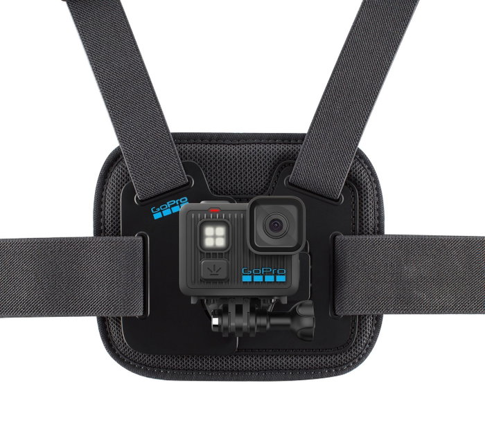 Videocámara de Vigilancia GoPro AGCHM-001-VN