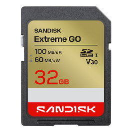 SanDisk Extreme GO 32 GB SDHC