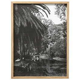 Home Deco Factory Cuadro 45x60 cm Blanco Negro Madera MDF Vidrio Papel Imágenes Blanco y Negro