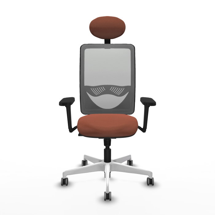 PIQUERAS Y CRESPO Silla de oficina Zulema con Mecanismo Sincro, Tela Marrón y Malla Gris PIQUERAS Y CRESPO Silla de oficina Zulema con Mecanismo Sincro, Tela Marrón y Malla Gris