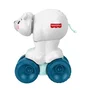 Fisher-Price Oso Polar para Gatear JDL63