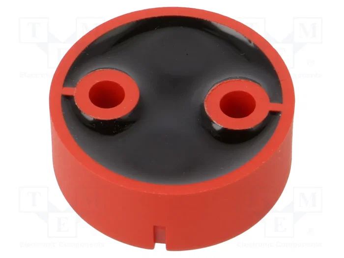 TELEMECANIQUE SENSORS XCSZR1 Imán para interruptores de seguridad
