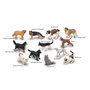 Collecta Tubo de Mini Mascotas - Figuras de Perros y Gatos en Estuche de PVC - A1232 - Edad +3 años