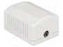 DeLOCK 86196 Toma de red 1 puerto Cat.6A LSA RJ-45 Blanco