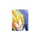 CERDÁ Toalla Dragon Ball Z microfibra 70x140 cm