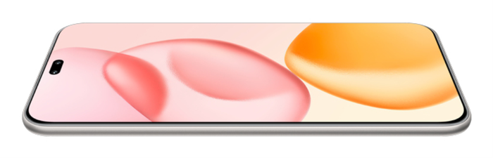 HONOR 400 Pro 17 cm (6.7") 5G 12 GB 512 GB 5300 mAh Gris AMOLED 50 MP 120 Hz