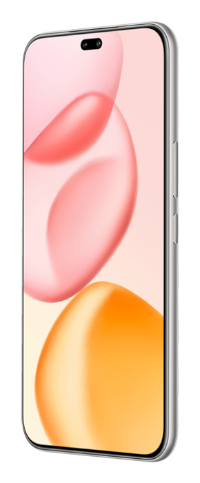 HONOR 400 Pro 17 cm (6.7") 5G 12 GB 512 GB 5300 mAh Gris AMOLED 50 MP 120 Hz