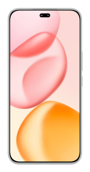 HONOR 400 Pro 17 cm (6.7") 5G 12 GB 512 GB 5300 mAh Gris AMOLED 50 MP 120 Hz