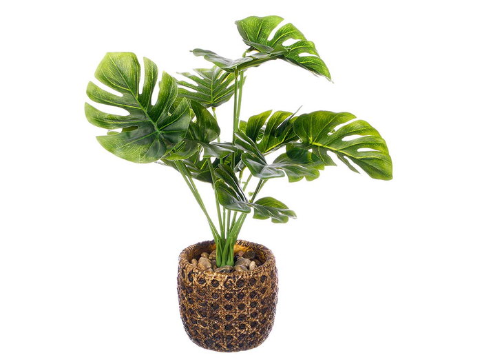 Ibergarden Maceta Hoja Costilla Verde 19 x 37 x 19 cm (Set de 8)